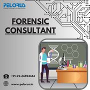 forensic consultant | forensics audit