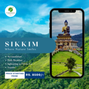 Sikkim Tour Package: Explore Himalayan Bliss with Tripoventure