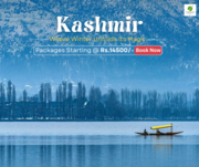 Enchanting Kashmir Honeymoon Package: Romantic Escapes with Tripoventu