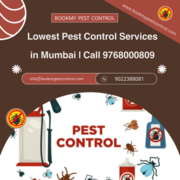 Lowest Pest Control Services in Mumbai | Call 9768000809