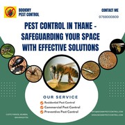 Pest Control in Thane -Safeguarding Your Space with Effective Solution