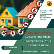 BookMyPestControl: Safeguarding Mumbai Against Pests – Your Ultimate S