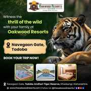 Best resorts in tadoba