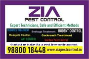 Garden Pest Cleaning service | Appartments | Residents | Office | 7062