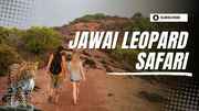 Jawai Leopard Safari