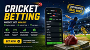 Smart Betting Tips for Online Cricket Betting | THE TIIS